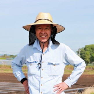 テキストテキスト