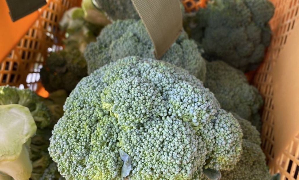 箱詰めされるブロッコリー