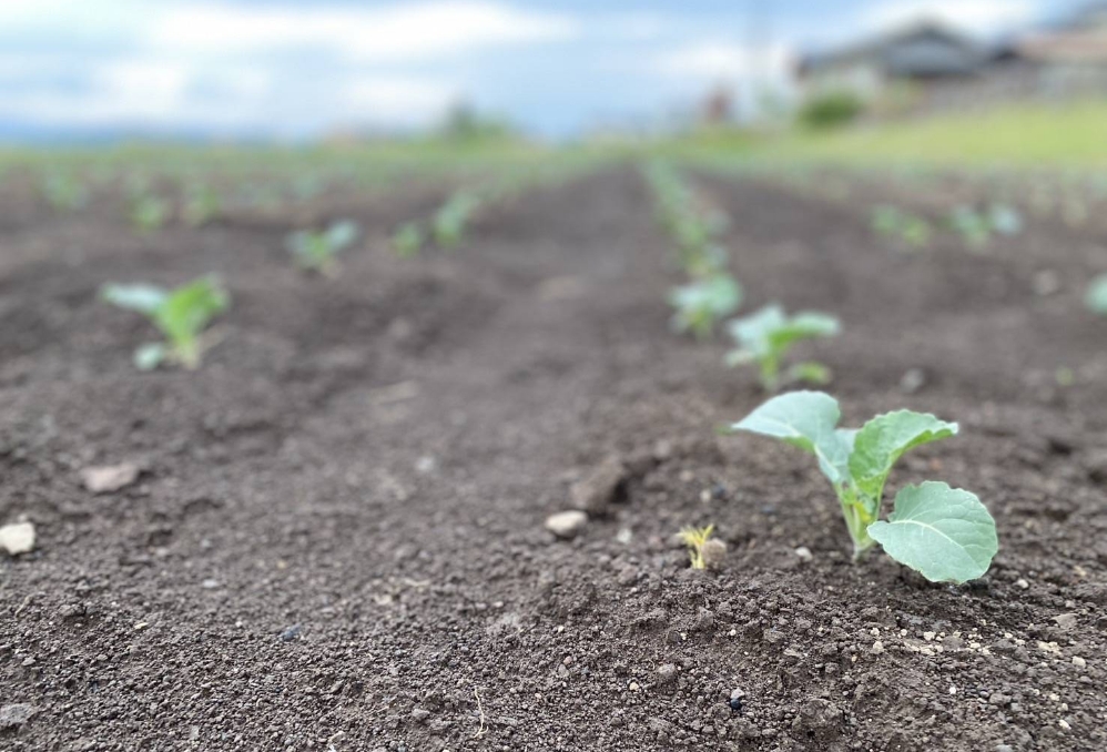 働く魅力・やりがい